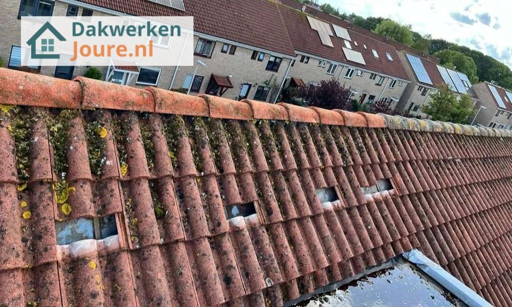 Een dakrenovatie bij oud pannendak Een dakrenovatie bij oud pannendak in Joure